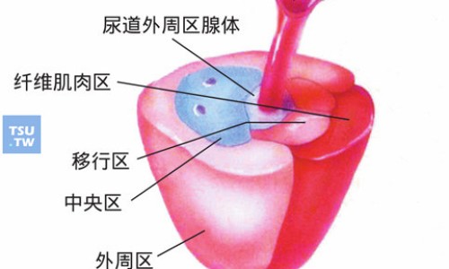 止呕穴的作用与功效网 :分享止呕穴位按压手法图解-止呕是什么意思知识
