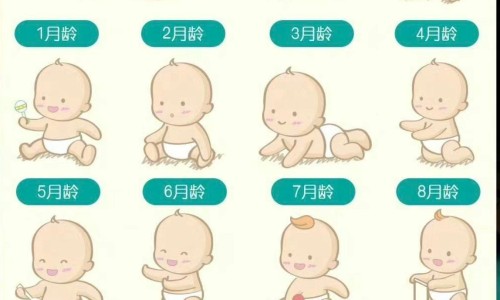 止吐穴的位置-止呕穴的作用与功效网 :分享止呕穴位按压手法图解-止呕是什么意思知识
